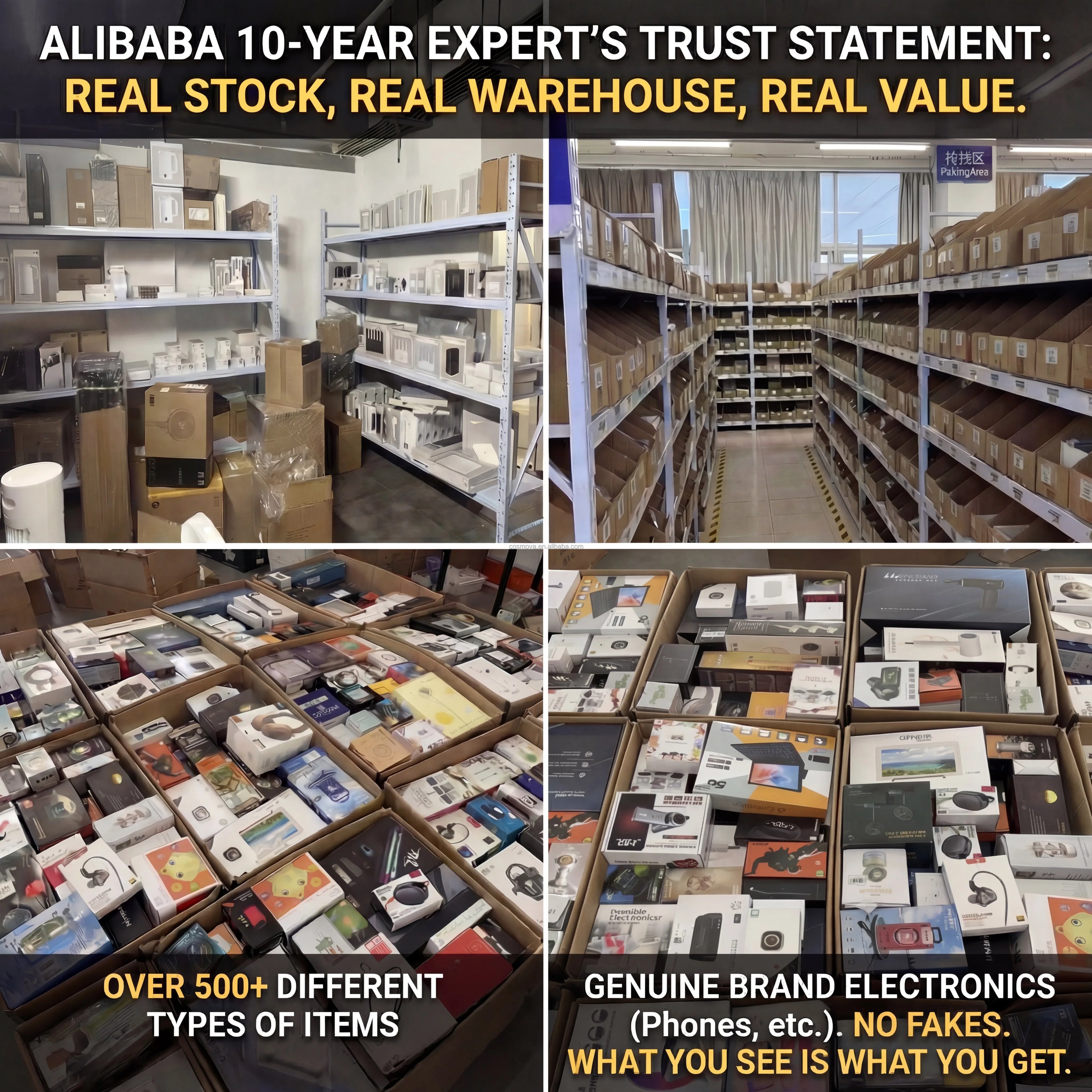 Rios Future Shop MEGA Electronics Mystery Box