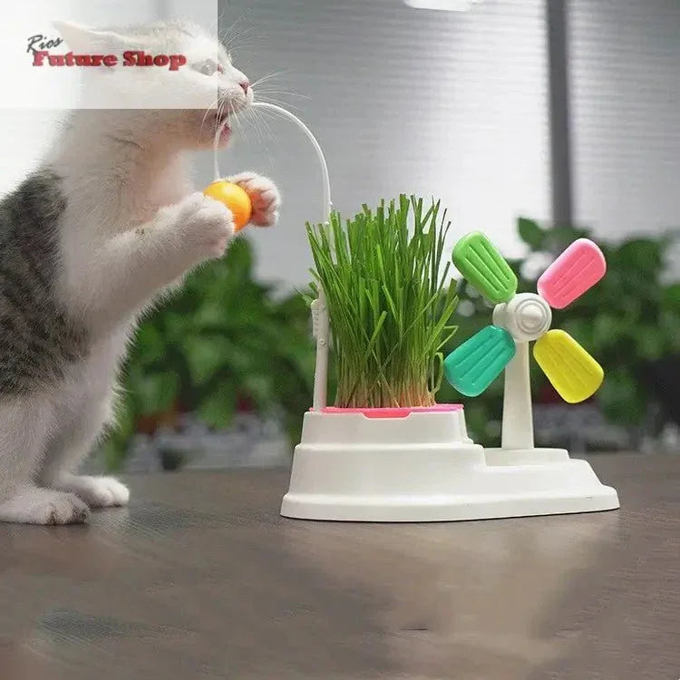 Brinquedo para Gatos Moinho de vento - Rios Future Shop