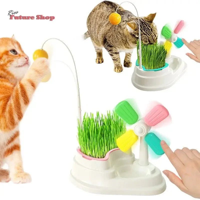 Brinquedo para Gatos Moinho de vento - Rios Future Shop